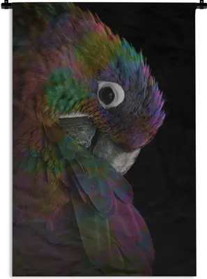 Produktbild von MuchoWow® Wandteppich Wandbehang Papagei - Vogel - Regenbogen 90x135 cm Tapisserie Dekoration Wandtuch - Baumwolle - Wandskulptur