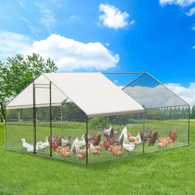 Image de Grand poulailler en métal - Enclos pour volailles accessible - Dimensions : 3 x 6 x 2 mètres - Toit étanche et résistant aux UV - Convient aux poules, canards, lapins, chiens - Pour l'extérieur