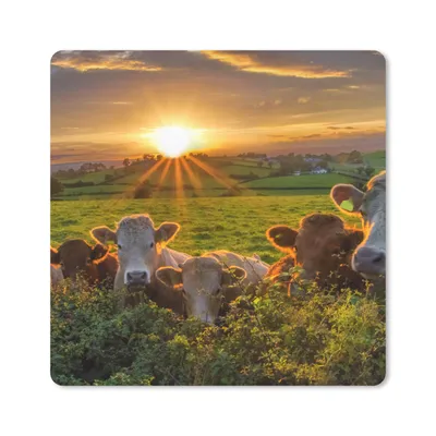 Produktbild von MuchoWow® Mauspad Mousepad Sonne - Kuh - Gras 20x20 cm - Mousepads - Maus Mat - Pad - Mausunterlage - Desk Mat - Bureauartikeln