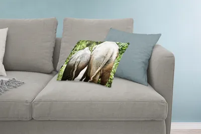 Produktbild von MuchoWow® Zierkissen Sofakissen Wohnzimmer Dekokissen 60x40 cm Elefant - Tiere - Grau - Natur - Kopfkissen - Polster mit Foto