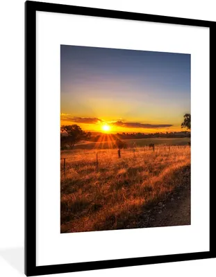 Produktbild von MuchoWow® Gerahmtes Poster Sonne - Gras - Baum - Natur 60x80 cm - Poster mit Schwarzem Bilderrahmen Wandposter Rahmen Foto Bilder - Wohnzimmer - Dekorationen - Prämie