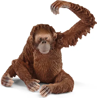 Produktbild von Schleich - Tierfiguren, Orang-Utan Weibchen; 14775