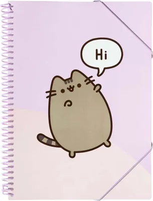 Obrázek produktu pro Skoroszyt Pusheen A4 30 kartek z gumką