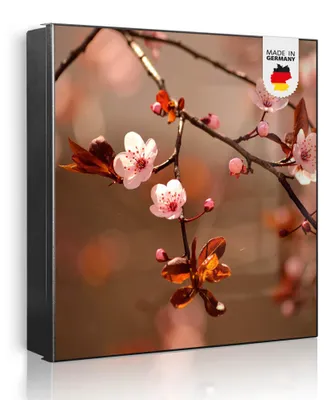 Zdjęcie produktu dla banjado metalowa szafka na klucze, duża 30x30 cm z 32 haczykami, może służyć jako tablica magnetyczna, czarny korpus, zawias po prawej stronie, Blühender Kirschzweig [SKG1 12287]