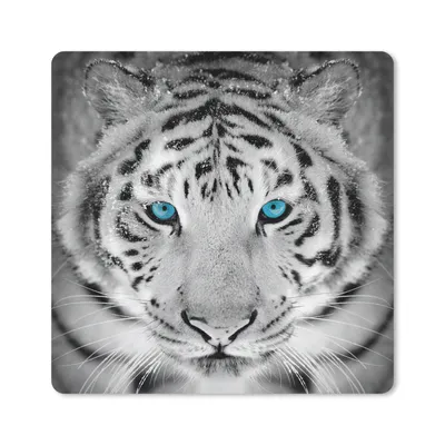 Produktbild von MuchoWow® Mauspad Mousepad Tiger - Winter - Tiere 20x20 cm - Mousepads - Maus Mat - Pad - Mausunterlage - Desk Mat - Bureauartikeln