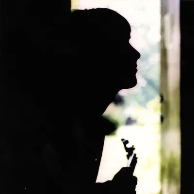 Image de Weller,Paul-Wild Wood (Limited Vinyl)
