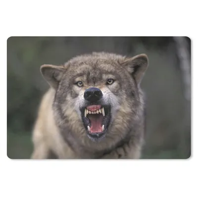 Produktbild von MuchoWow® Mauspad Mousepad Wolf - Maul - Zähne 27x18 cm - Mousepads - Maus Mat - Pad - Mausunterlage - Büroartikel - Desk Matten