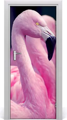 Produktbild von Tulup Türaufkleber 85x205 cm Dekorative Aufkleber Selbstklebend Wasserdichte Tapete Abnehmbar Schlafzimmer Wohnzimmer Wohnkultur - Flamingos Wand