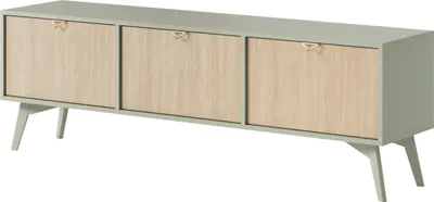 Obrázek produktu pro Skříňka RTV WALD 01 eukalyptus / scandi