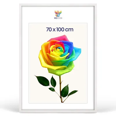 Produktbild von MG Design Bilderrahmen Weiß 70x100 cm - Posterrahmen Echtholz mit Acrylglas, verstärkte Wandaufhängung, hoch/quer