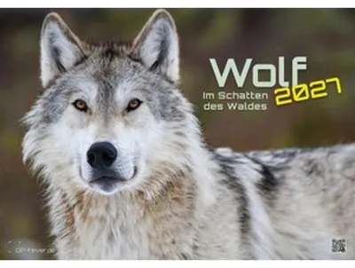 Produktbild von Wolf - Im Schatten des Waldes - 2027 - Kalender DIN A2