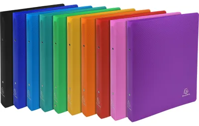 Produktbild von Exacompta 20x Ringbuch PP 700µ 2Ring Rücken 40mm A4 Überbreite sortiert 54699E