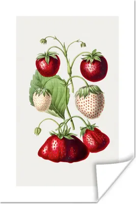 Produktbild von MuchoWow® Poster Erdbeere - Obst - Lebensmittel 120x180 cm - Kunstposter