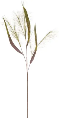 Produktbild von artplants.de Kunstzweig Schilfgras ZIGOR, grün, 110cm - Künstliches Grasbündel