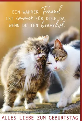 Produktbild von Geburtstag - Glückwunschkarte im Format 11,5 x 17 cm mit Umschlag