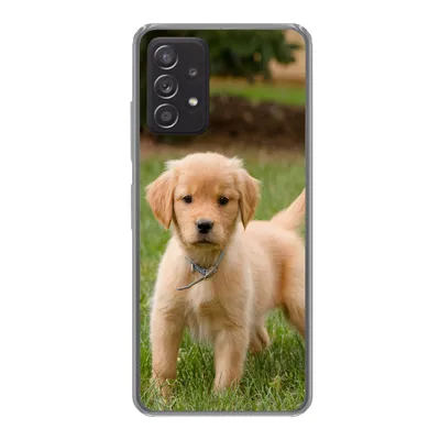 Produktbild von MuchoWow® Handyhülle Schutzhülle Hülle für Samsung Galaxy A33 5G Golden Retriever Welpe im grünen Gras Silikon Softcase Handy Hülle - Kartenhalter