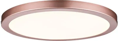 Image de Paulmann applique murale Atria LED panel 300mm 22W rose gold 70872