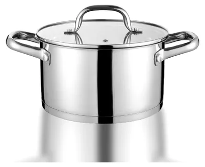 Produktbild von Kochtopf 24 cm, 5,6 L Edelstahl Suppentopf mit Glasdeckel, Nudeltopf, Fleischtopf, Gemüsetopf für alle Herdarten, ungestrichen und spülmaschinenfest