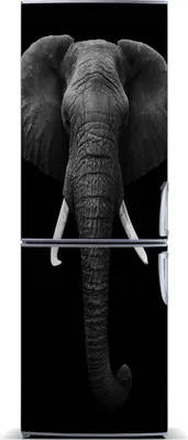Produktbild von Tulup Kühlschrankdekoration - Magnetmatte - 60 cm x 180 cm - Magnet auf dem Kühlschrank - Afrikanischer Elefant