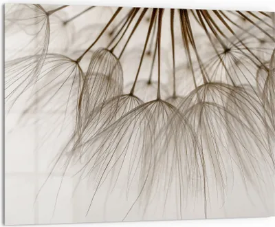 Produktbild von DEQORI Küchenrückwand Glas 80x60 cm 'Pusteblumenpoesie' Spritzschutz Bad Rückwand Küche