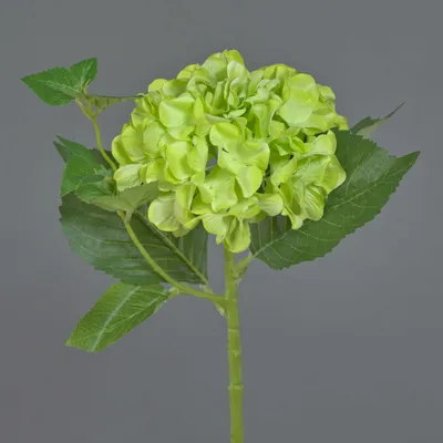 Produktbild von artplants.de Kunstpflanze Hortensie VOSTE, grün, 45cm - Künstliche Hortensie