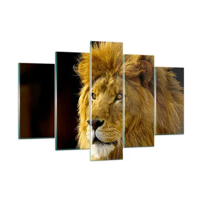 Produktbild von Bilder auf glas - Löwe Tiere Tierwelt - 150x100cm - Glasbilder - Wandbilder - Kunstdruck - zum Aufhängen bereit - Wanddekoration aus Glas - Glas Bilder - Wandbild auf Glas - 5 Teile - GEA150x100-1237
