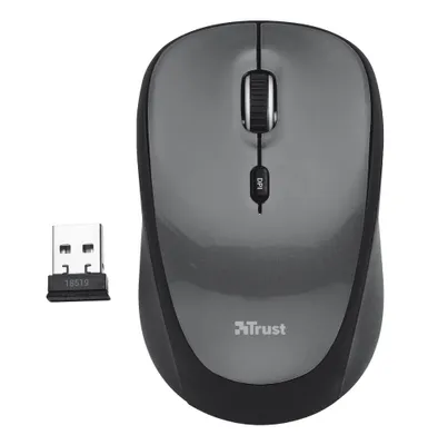 A wireless computer mouse and its USB receiver are shown on a white background.