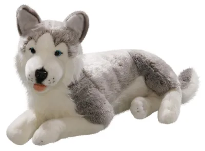 Produktbild von Carl Dick Husky liegend ca. 60cm 2703 Kuscheltier, Plüschtier, Stofftier