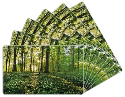 Produktbild von Wallario Frühstücksbrettchen 6er Set aus Glas, je 14 x 23 cm, mit rutschfesten Füßen, Motiv Waldanemonen und Sonnenstrahlen im Wald