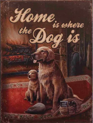 Immagine prodotto di Cartello in metallo G4898 Home is where the Dog is 25 x 33