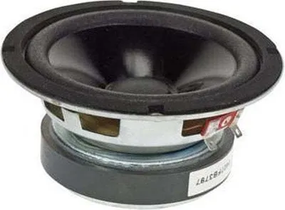 Productafbeelding van ZWARTE SUBWOOFER VOOR LUIDSPREKER, 6,5 inch / 250W