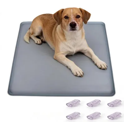 Produktbild von Waschbare Unterlagen für Hunde und Welpen