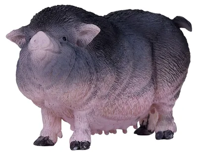 Produktbild von Mojo Ackerbauchschwein – 381079