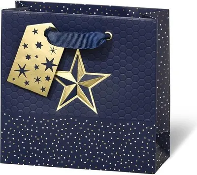 Produktbild von Geschenktüte - Geschenktasche - CD-Format - 14,5x15x6 cm - Dekor