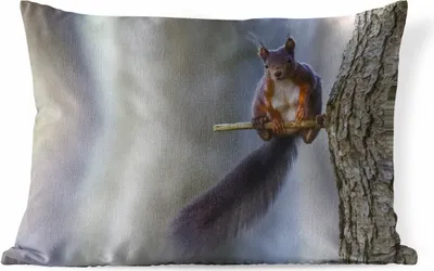 Produktbild von MuchoWow® Outdoor Kissen - Waldtier - Eichhörnchen - Äste - 60x40 cm - Wetterfest - Lounge Kissen - Zierkissen - Kissen für Innenräume