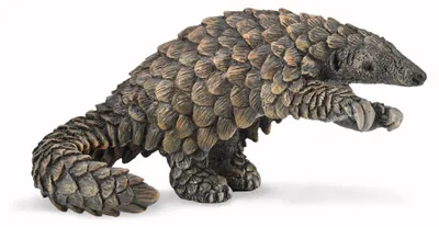 Immagine prodotto di COLLECTA Pangolino - (S)