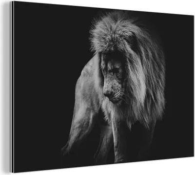 Produktbild von MuchoWow Wanddekoration Metall Metallbild Wandkunst 120x80 cm Löwen - Porträt - Schwarz - Weiß MuchoWow Aluminium Gemälde - Alu Bild