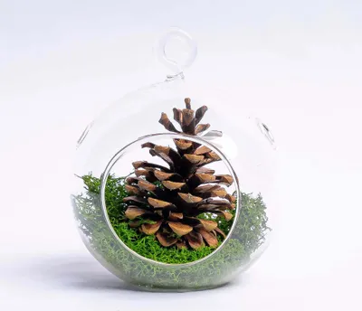 Produktbild von Weihnachtskugel Glas - Tannenzapfen und Rentiermoos