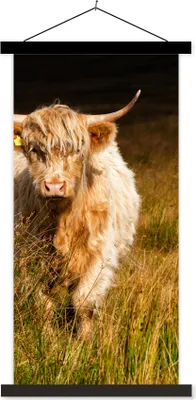 Produktbild von MuchoWow® Textilposter Schottische Hochlandrind - Licht - Gras - Tiere 40x80 cm mit schwarzem Rahmen - Wandemalerei
