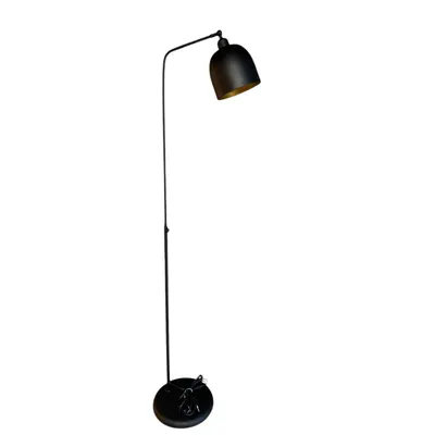 Produktbild von Schwarz Moderne Dekorative Metall Stehlampe