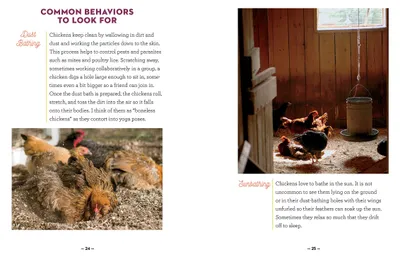 Productafbeelding van How to Speak Chicken