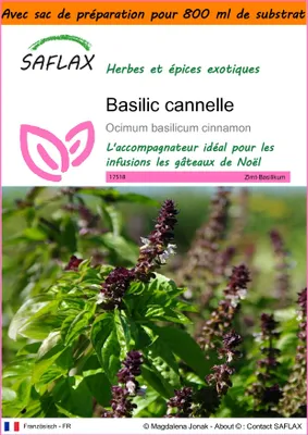 Image de SAFLAX Garden in the bag - Basilic cannelle - 200 graines - Ocimum