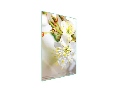 Image de Planche à découper en verre 35x52 prune