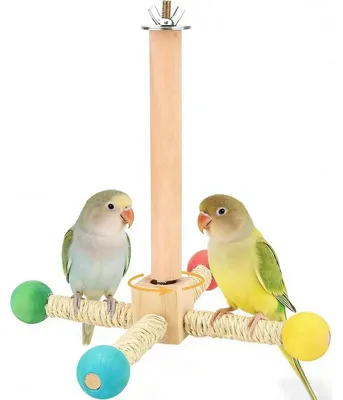 Immagine prodotto di Supporto girevole a 360° per uccelli – Accessorio per piccoli uccelli