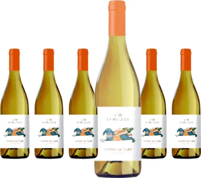 Produktbild von Teruzzi & Puthod Terre Di Tufi trocken | 12,5 % vol | 0,75 l