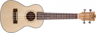 Obrázek produktu pro Prodipe Guitars BC25