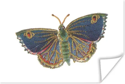 Produktbild von MuchoWow® Poster Luxus - Schmetterling - Gold 90x60 cm - Schlafzimmer