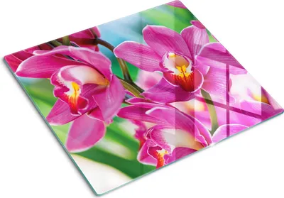 Imagen del producto de Placa de protección de vidrio – Cubierta para placa de cocina – Cubierta para placa de inducción – 60x52 cm – Limpieza fácil – Vidrio templado – Orquídeas rosas