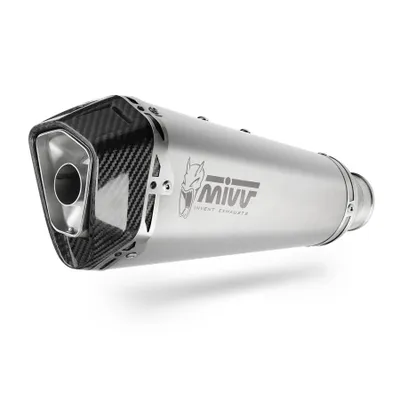 Produktbild von Mivv SPORT Schalldämpfer DELTA RACE Komplettanlage 1x1 Edelstahl Carbon Cap für BMW G 310 R BJ 2018