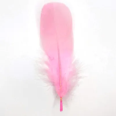 Immagine prodotto di Piume Piume d'oca, circa 15-20 cm, 10 pezzi, rosa